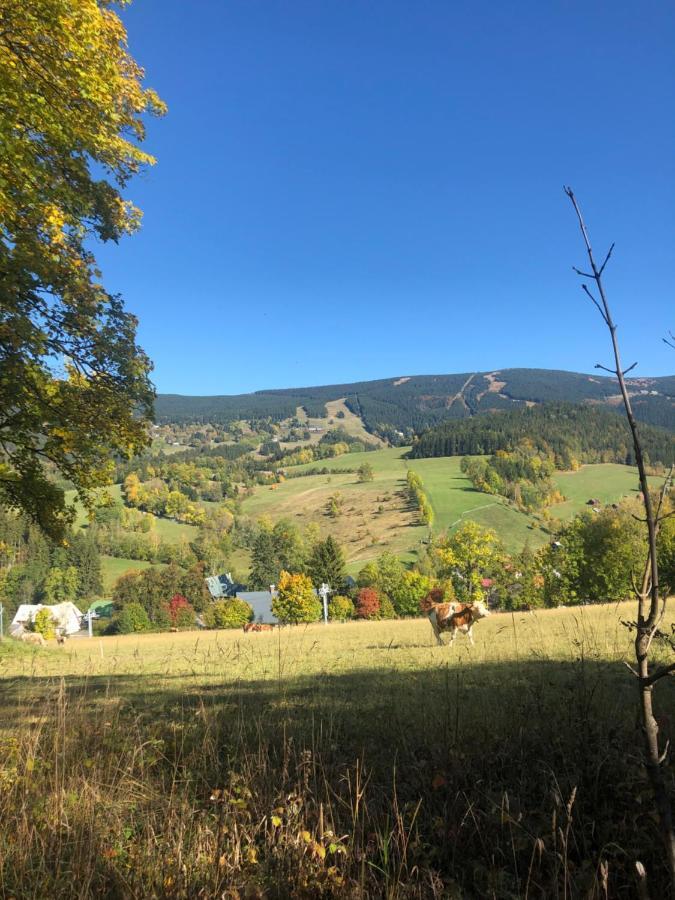 Roky 6 Rokytnice nad Jizerou